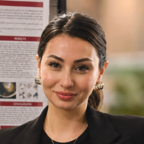 Melis Sınav